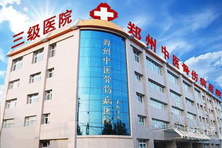 二环旁 自贸区 福塔旁 碧桂园天玺礼献中原