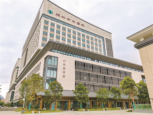 凤凰片区加快打造总部经济集聚区