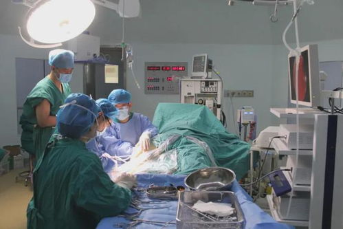 篮球少年遭遇半月板撕裂丨德州市中医院关节镜手术,助患者重返球场