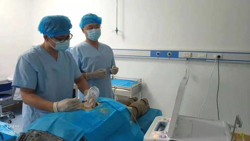 市汤岗子康复医院加入中日友好医院超声可视化针刀技术专科医联体